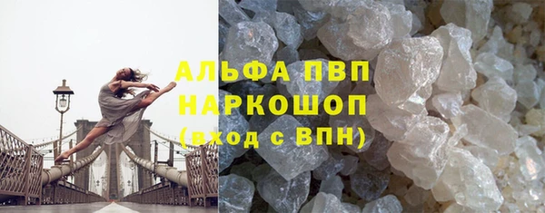 прущие грибы Липки
