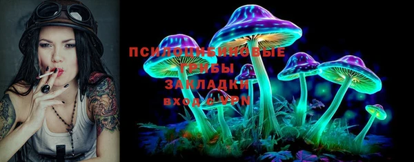 прущие грибы Липки