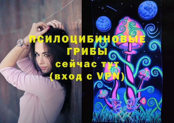 прущий лед Лиски