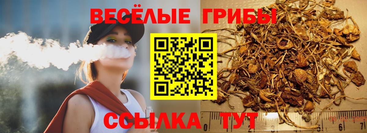 Псилоцибиновые грибы Magic Shrooms Моршанск