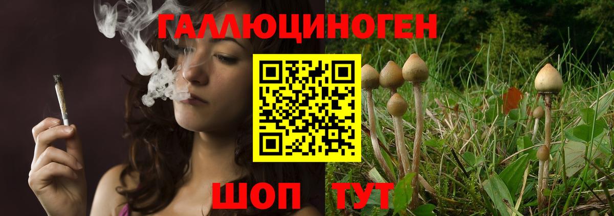 Моршанск  Псилоцибиновые грибы Psilocybe  Галлюциногенные грибы MAGIC MUSHROOMS  Вход с VPN 